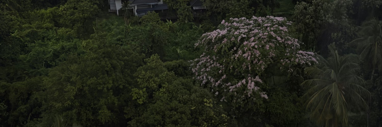 11ibwlsy's profile banner image