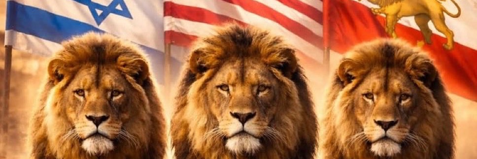 Collin McMahon banner