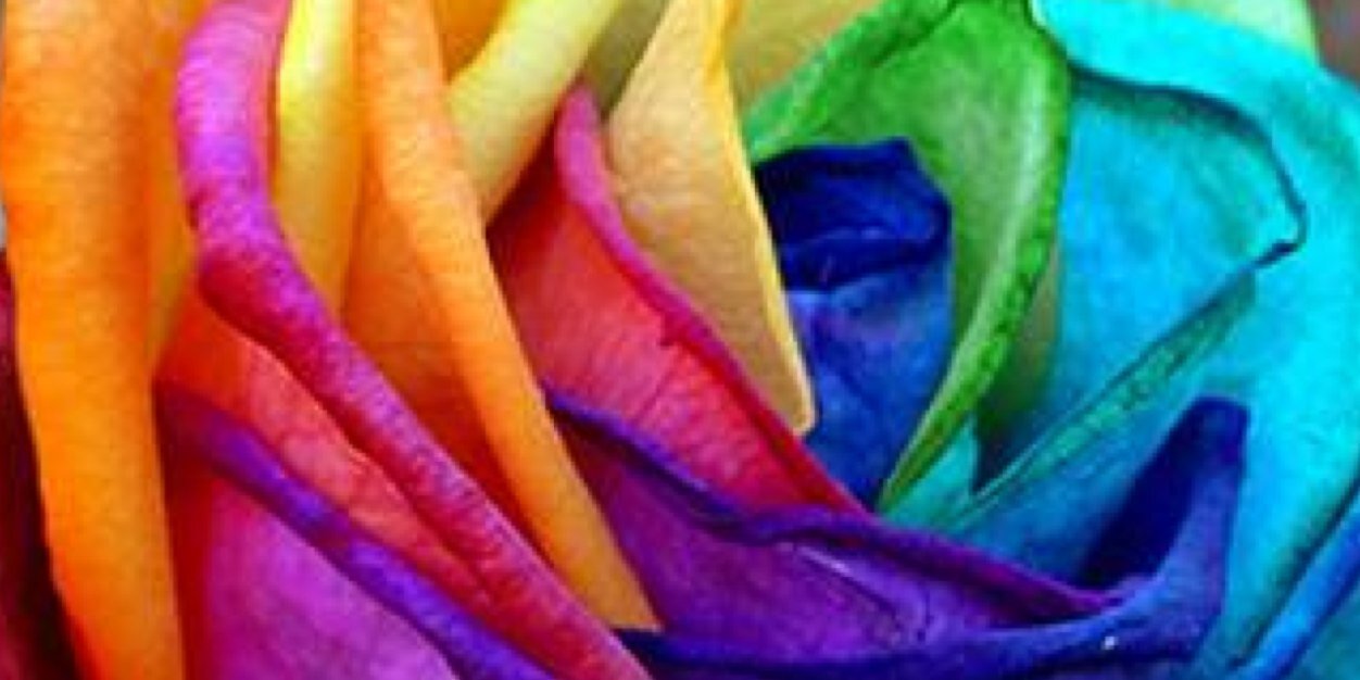aixayazlle's profile banner image