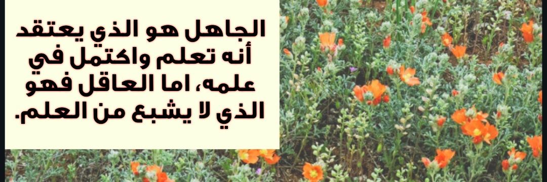 MrsmuniraA's profile banner image