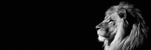 HalibutCrypto Profile Banner
