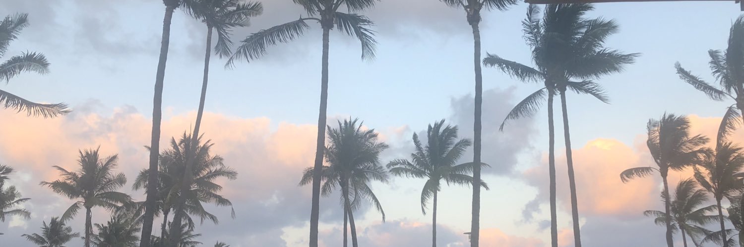 ninaysong's profile banner image