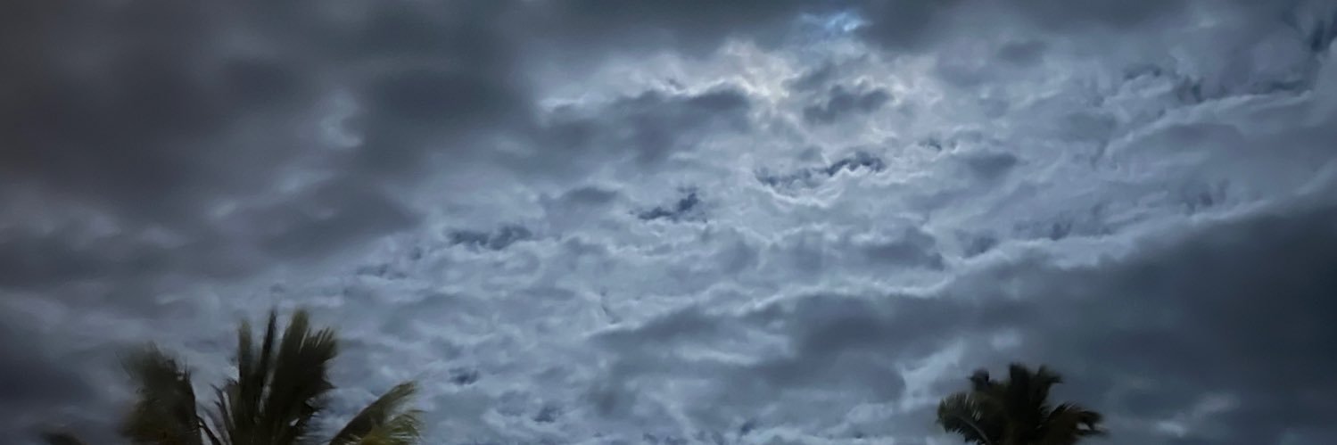 seeliebae's profile banner image