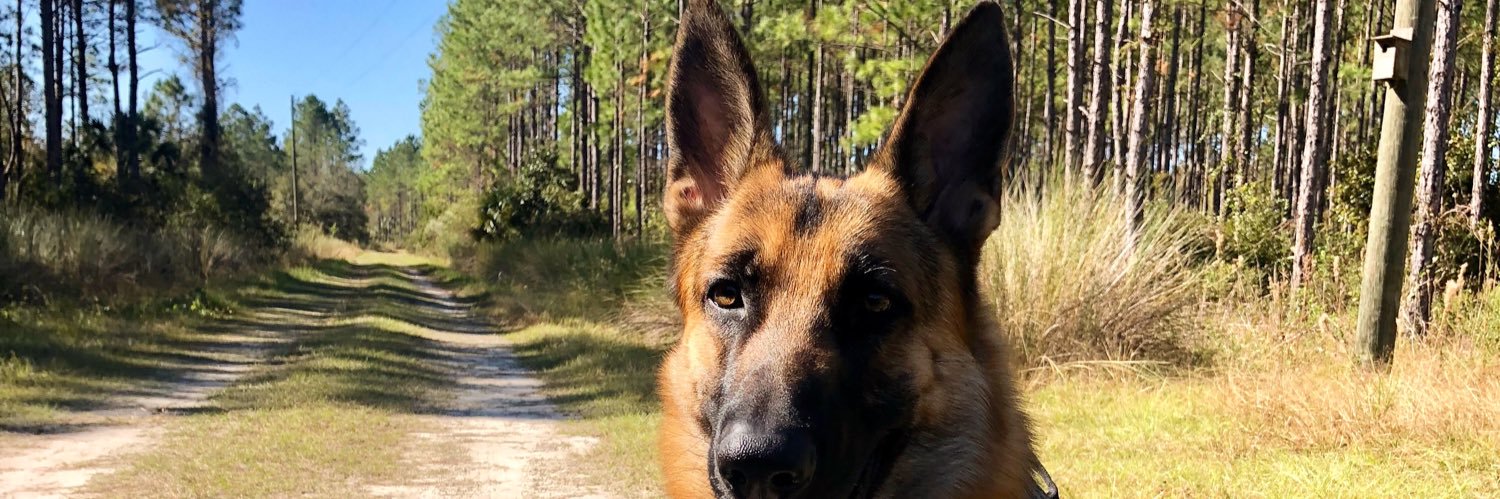 FischerSwartsel's profile banner image