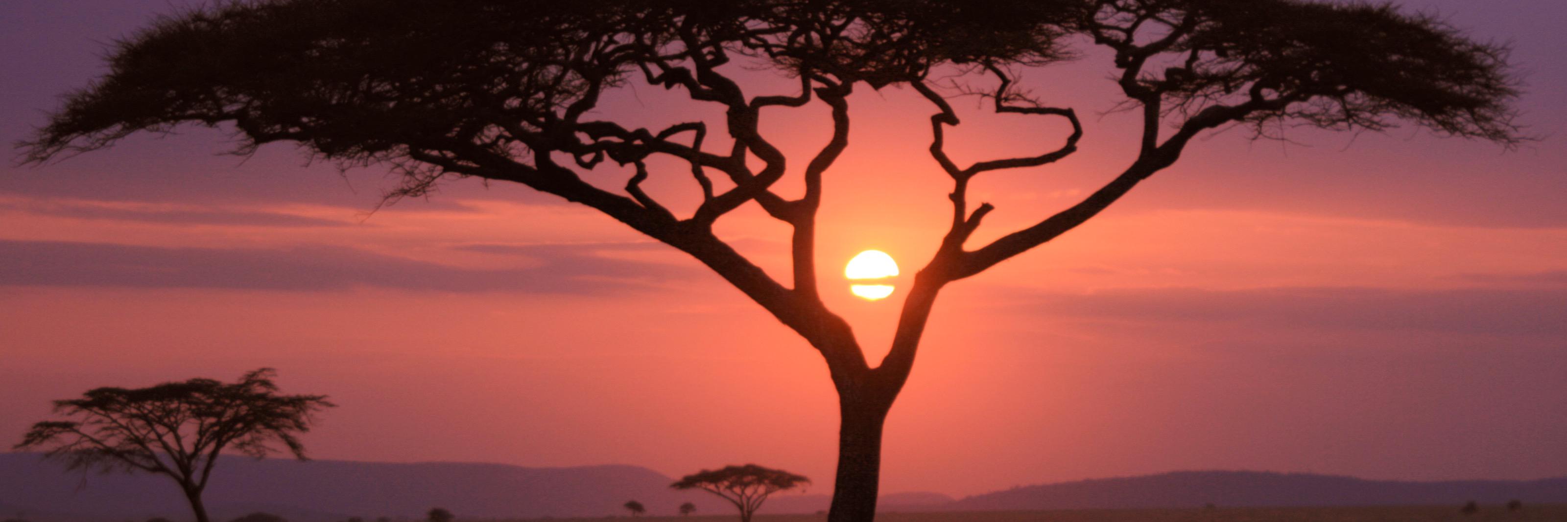 lericabrasil's profile banner image