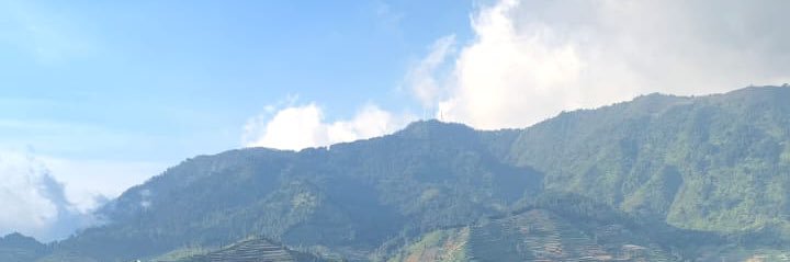 mmasdimm's profile banner image