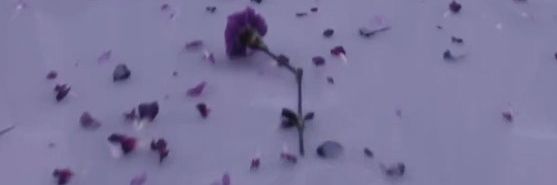 hstylesjq's profile banner image