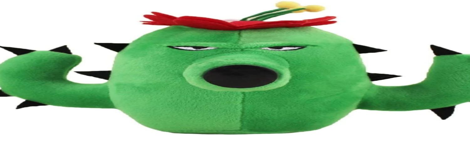 fascinating cactus plush banner