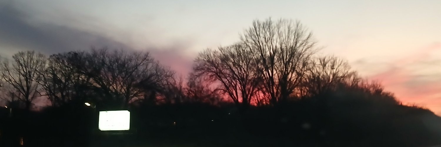 Nicole_Shentae's profile banner image