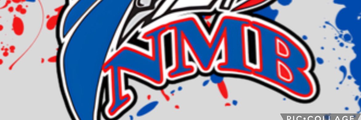 NMB HighSchool's banner