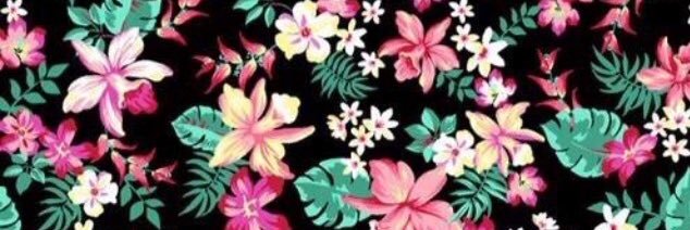 _jusantanna's profile banner image