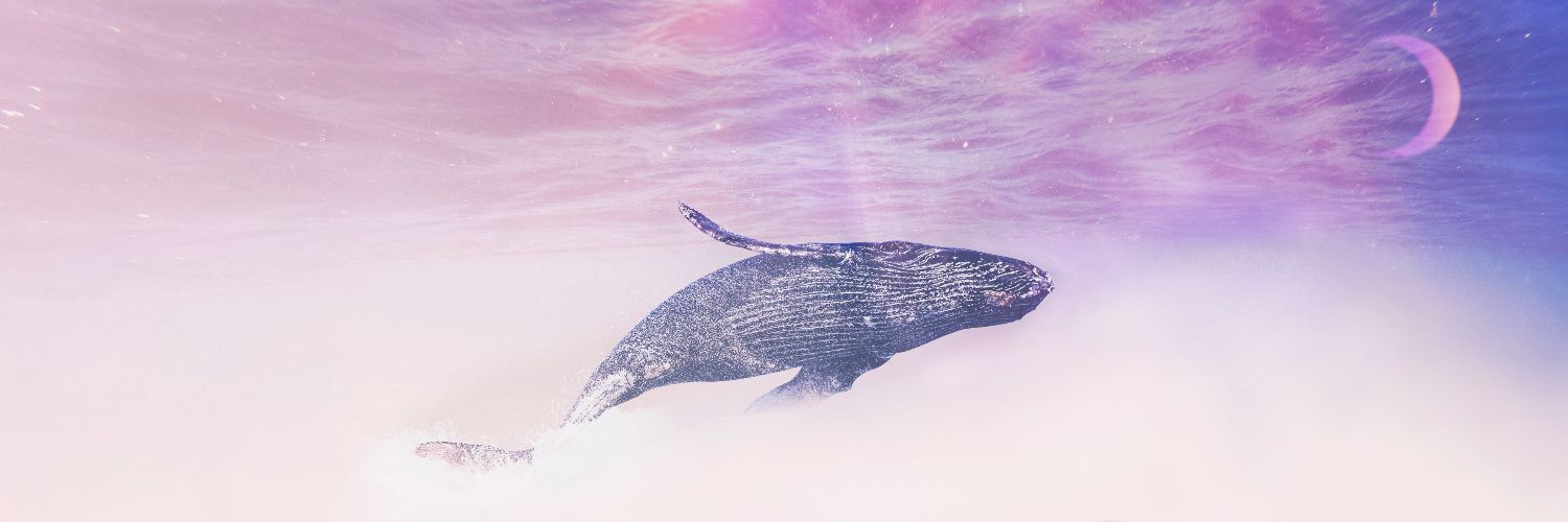 ⨾𝐀𝐏𝐀𝐓⟭⟬ banner