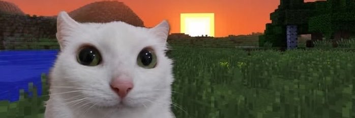 g3m4aa's profile banner image