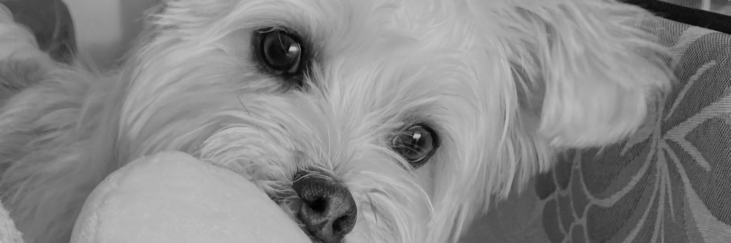 albamle_'s profile banner image