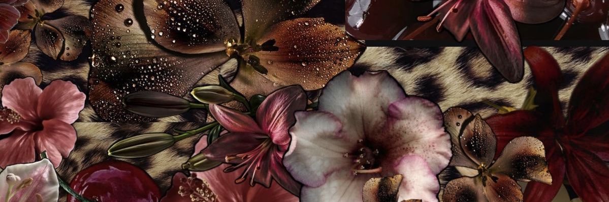 _mikaxox's profile banner image