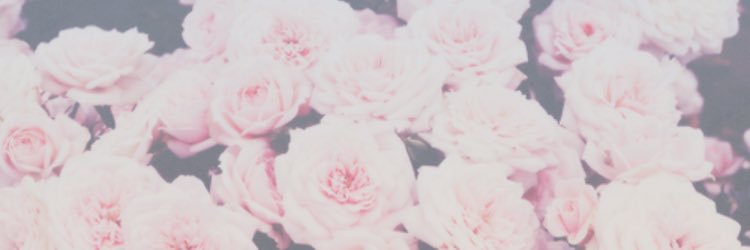 kaileepower's profile banner image