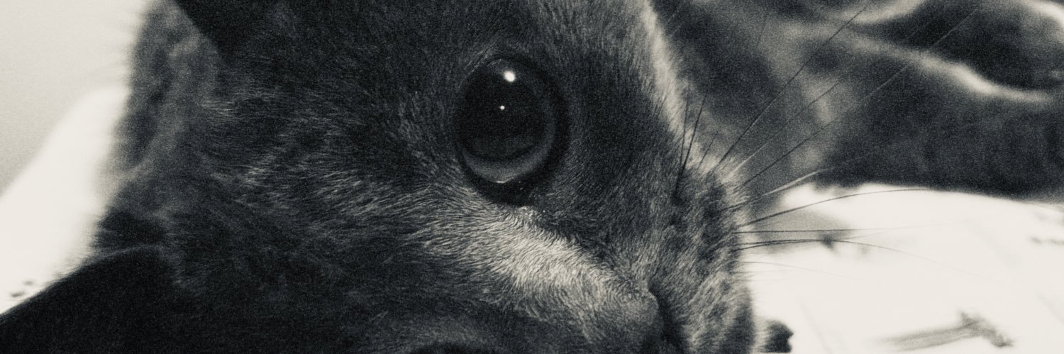 EvaVayssettes1's profile banner image