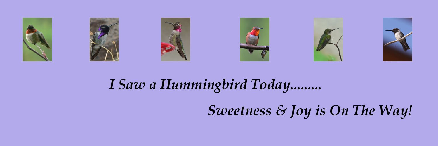 HummingbrdGuide's profile banner image