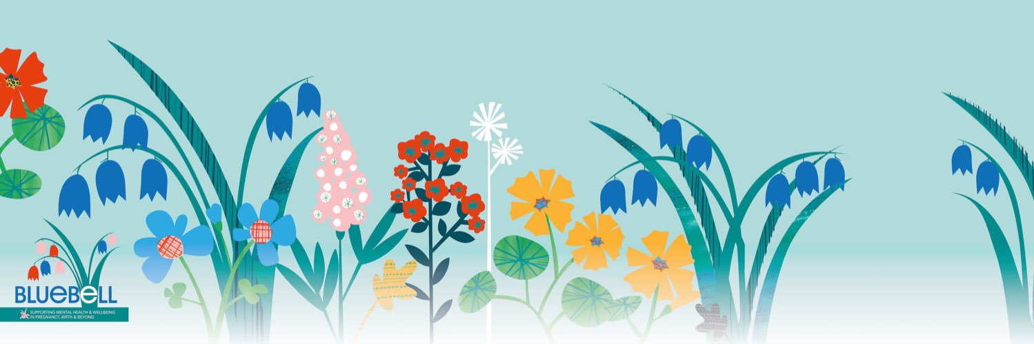 Bluebell Care banner