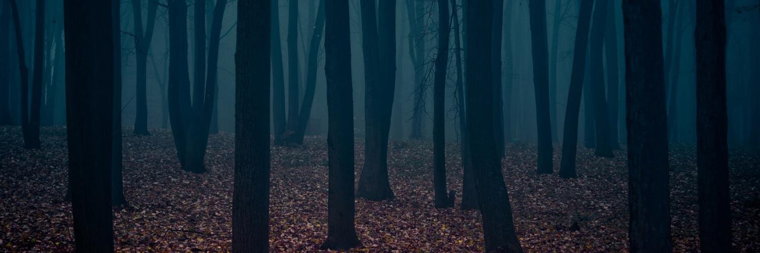 wolfsbanex10's profile banner image