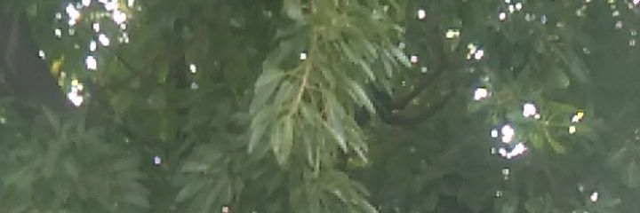 oban7172's profile banner image