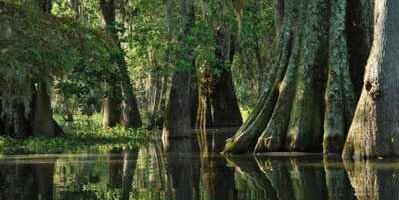 gatorwaters's profile banner image