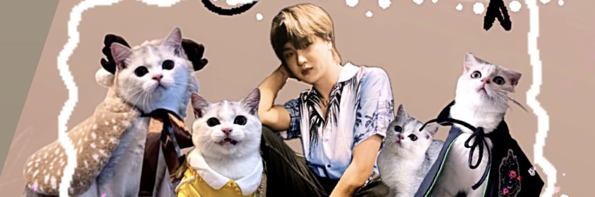 Ojajapoo's profile banner image