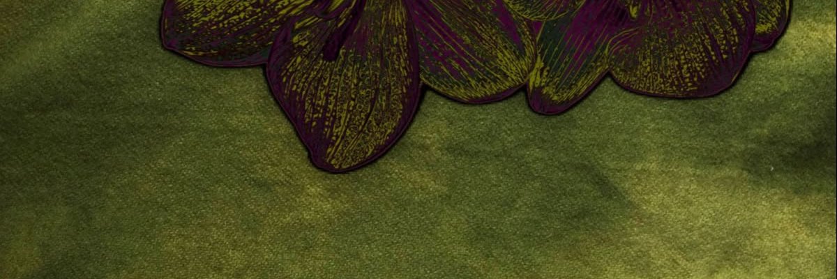 dudaobsales's profile banner image