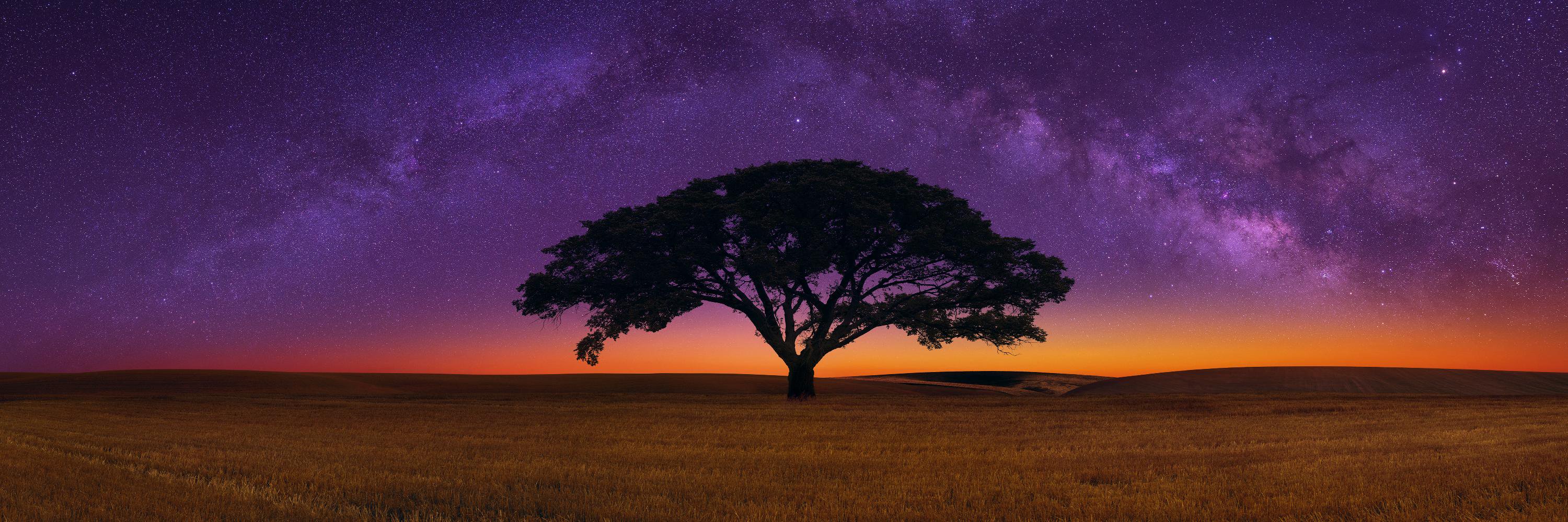 Bruno Ahualli banner