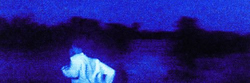 Dayeon (Zoey) Ki's banner