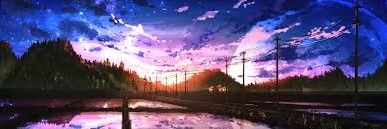 Wolfk 💎✨ banner