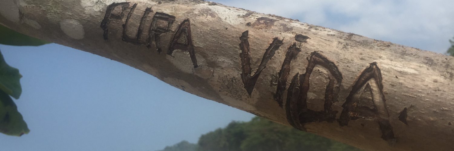 amanda_cr's profile banner image