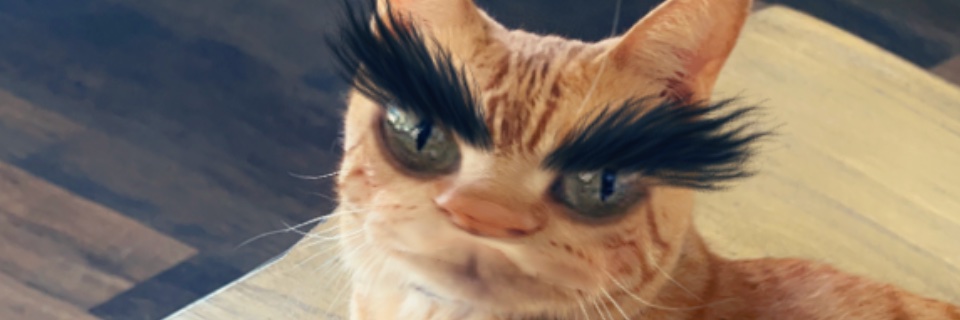 OrangeCatBad banner