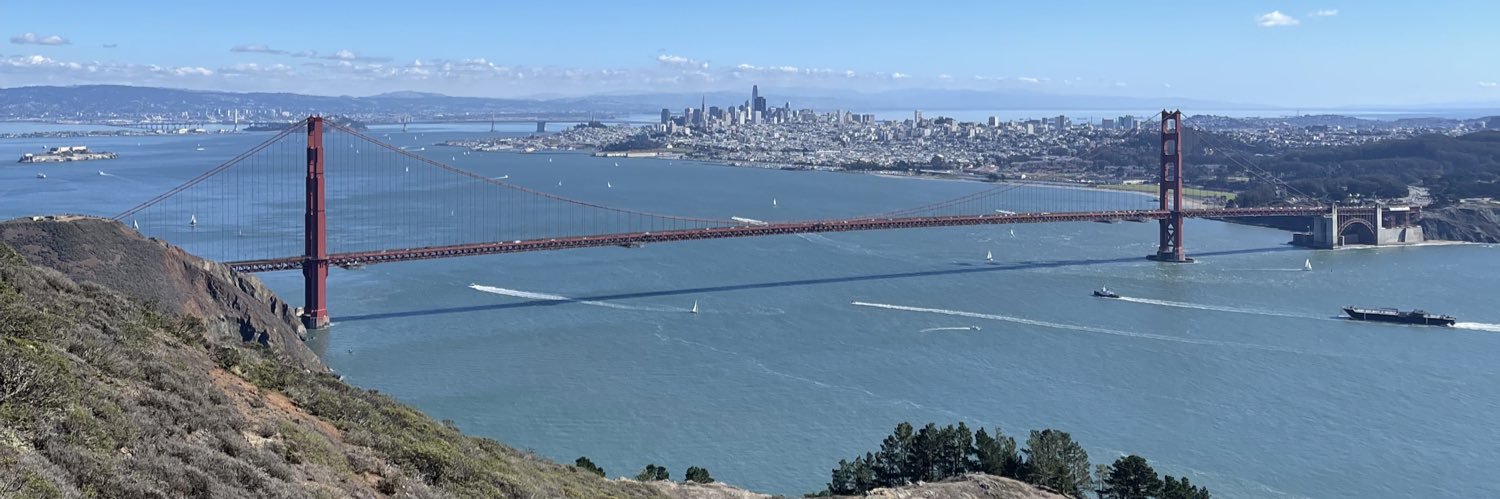 Lorry Destainville banner