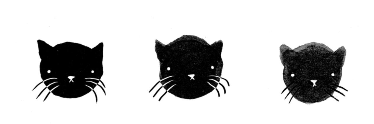 lauren c banner