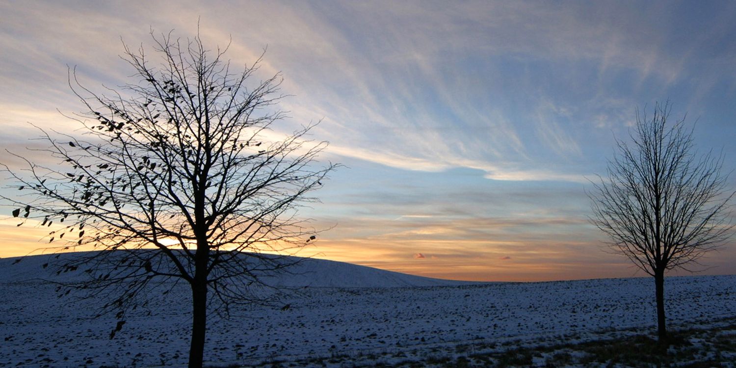 shell_tru's profile banner image