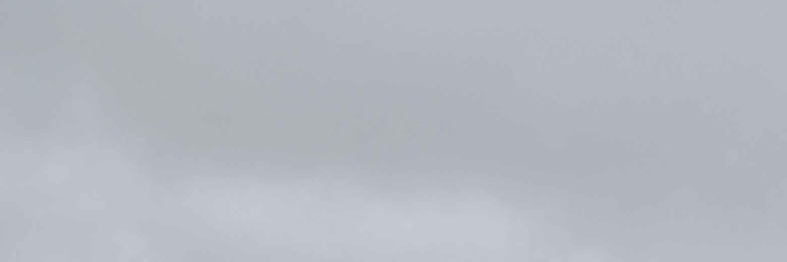 phyllisvdca's profile banner image