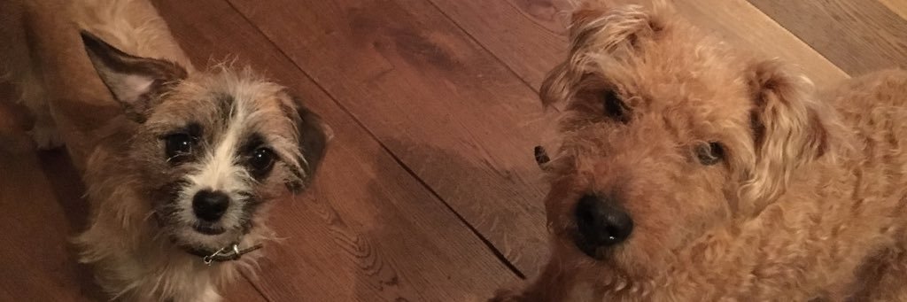 🏴‍☠️ Geoff Barrow 🏴‍☠️ banner