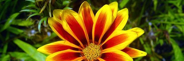 RJM76553792's profile banner image