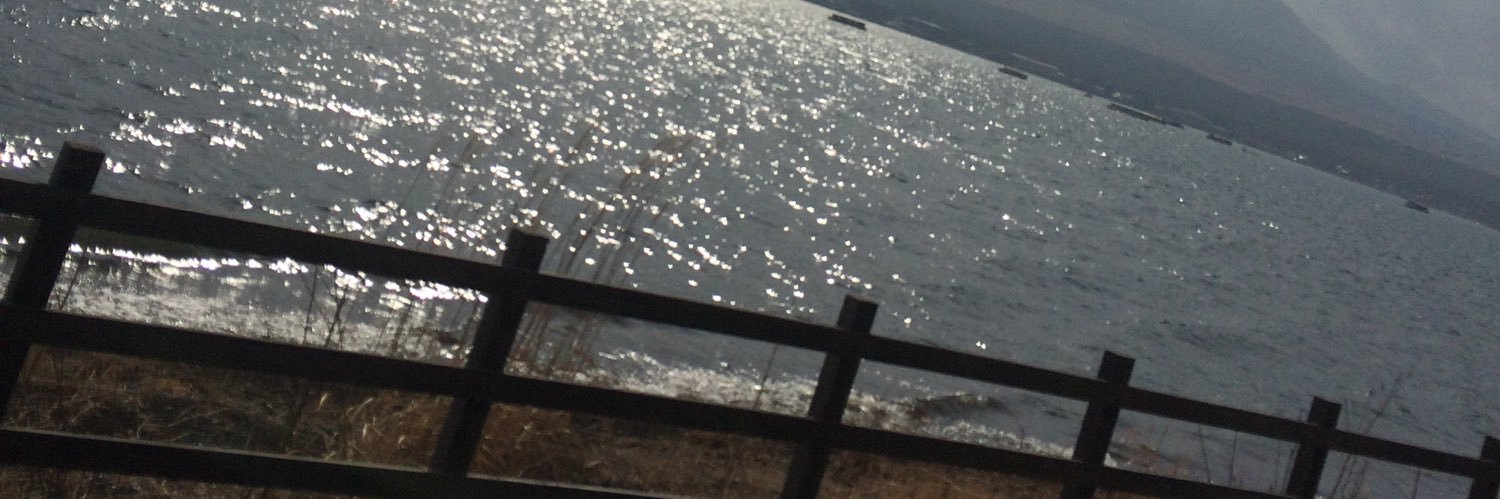 iris_coco's profile banner image