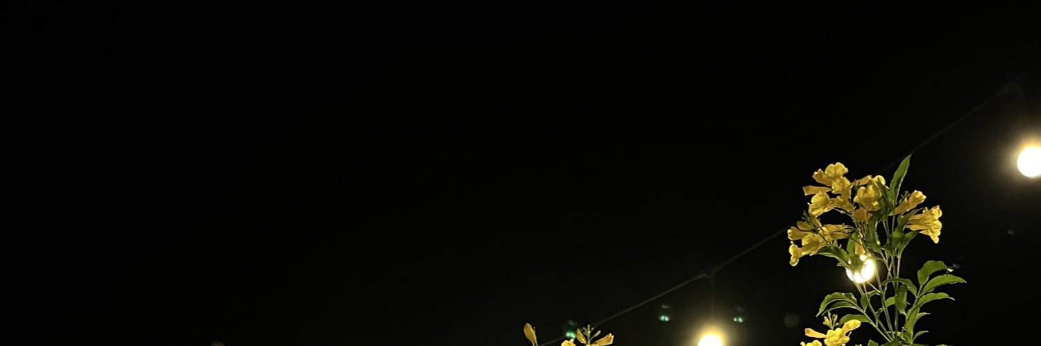 T banner