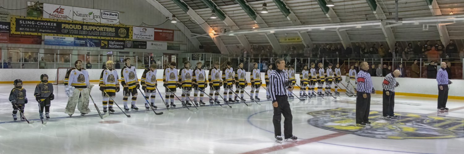 Red Lake Miners banner
