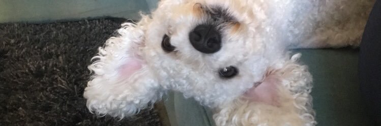 AlexandraBbt's profile banner image