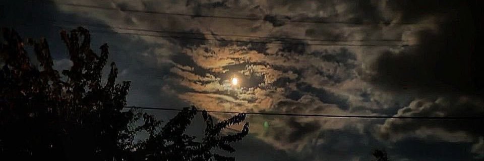 ‏᷂ماجد banner