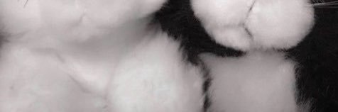 nag__10's profile banner image