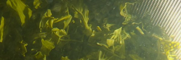 AxcanNathan Profile Banner