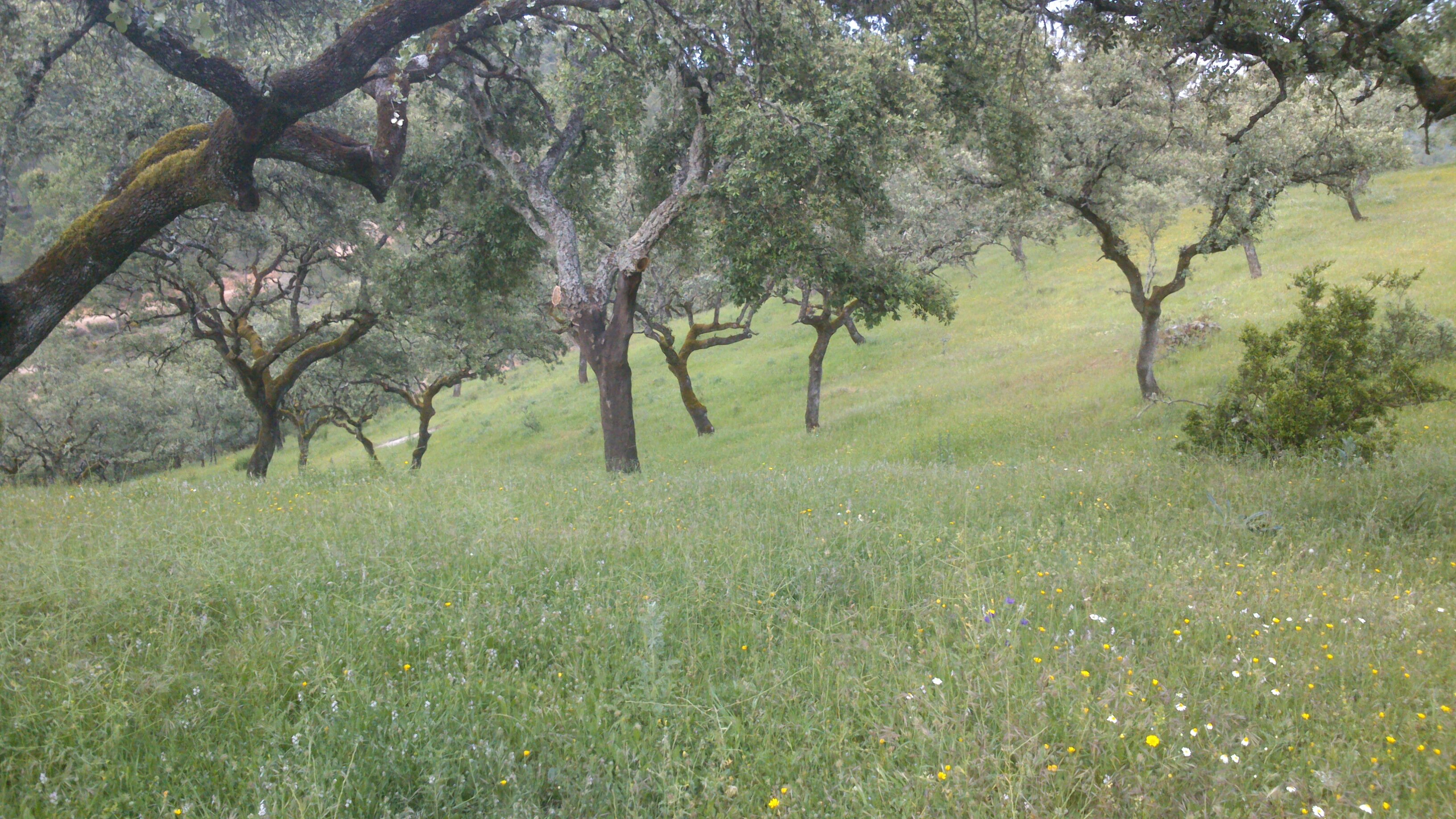 GerardoMartinM1's profile banner image