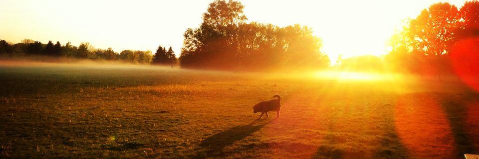 Becky Anderson banner