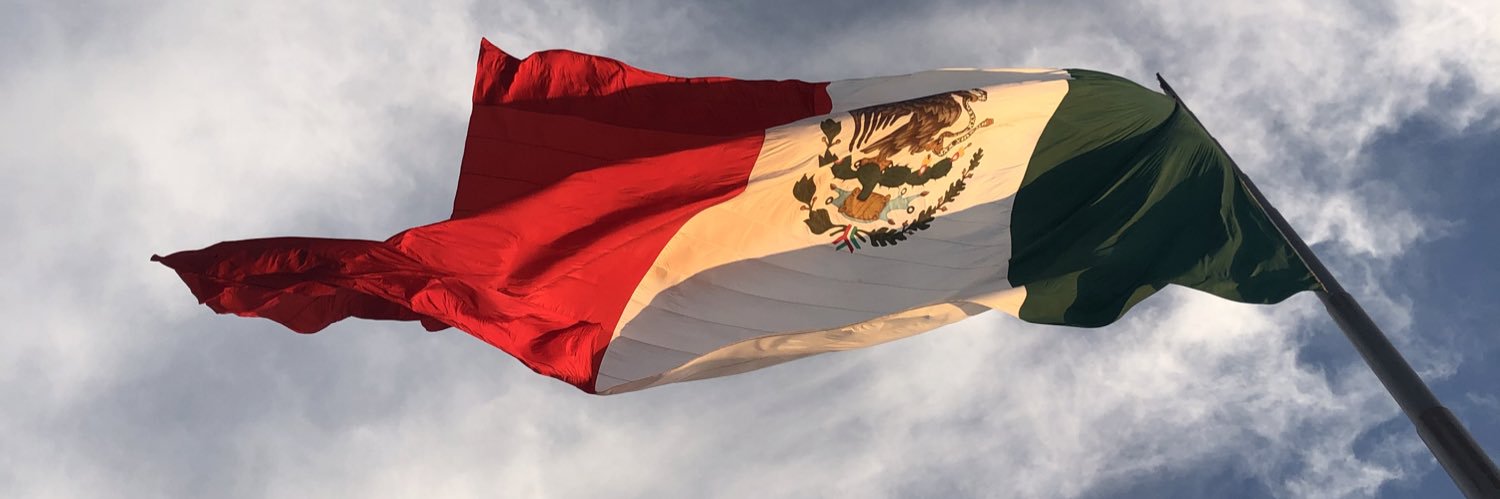 sofialz7's profile banner image