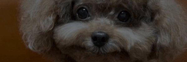 DiscGoofy Profile Banner